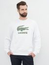 купить Свитшот Lacoste SH0065-001 2XL (T7) White (3665926027189)