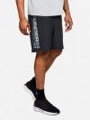 купить Шорты Under Armour Woven Graphic Wordmark Short 1320203-001 S (191480429563)