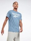 купить Футболка Reebok RI Big Logo Tee GS1613 S Blusla (4064055190037)