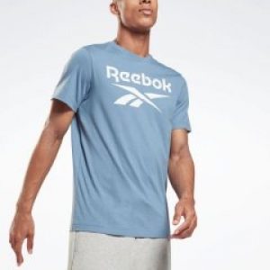 купить Футболка Reebok RI Big Logo Tee GS1613 S Blusla (4064055190037)