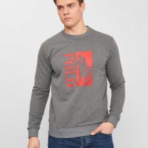 купить Свитшот Polo Ralph Lauren 10833.2 2XL (52) Серый