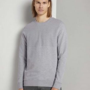 купить Свитшот Tom Tailor 1020195-15398 L Светло-серый (4063879185830)